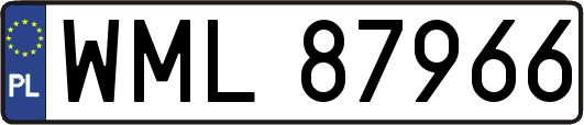 WML87966