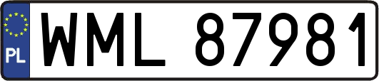 WML87981
