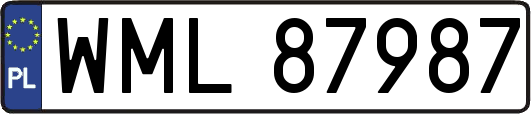 WML87987