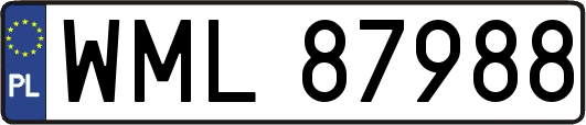 WML87988