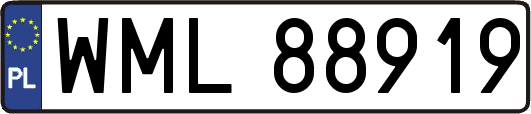 WML88919