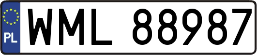 WML88987