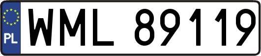 WML89119