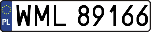 WML89166