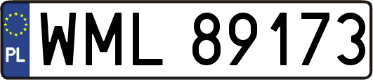 WML89173