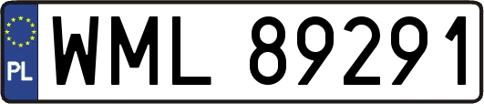 WML89291