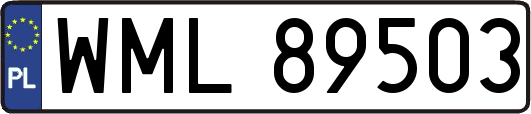 WML89503
