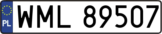WML89507