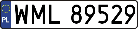 WML89529