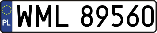 WML89560