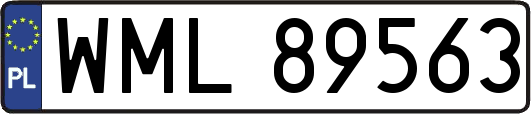 WML89563