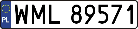 WML89571
