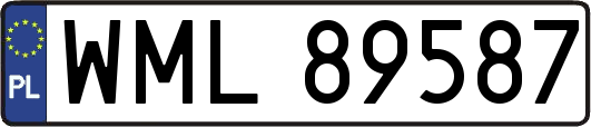 WML89587