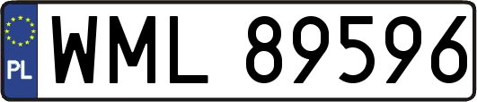 WML89596