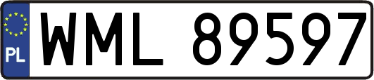 WML89597