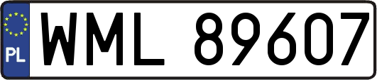 WML89607