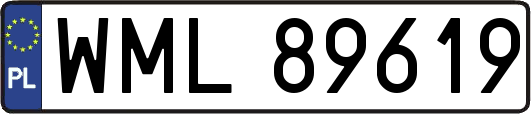 WML89619