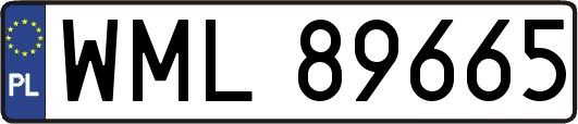 WML89665