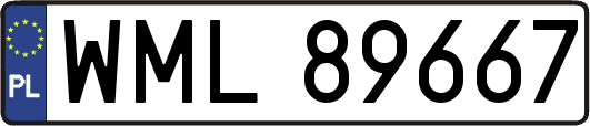WML89667
