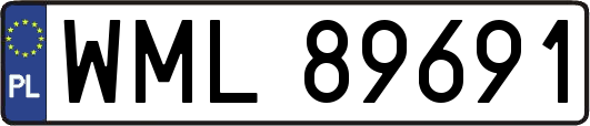 WML89691