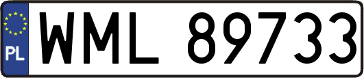 WML89733
