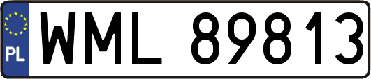 WML89813