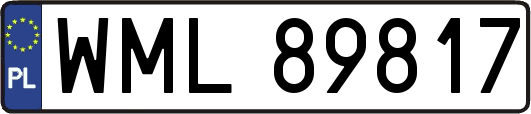 WML89817
