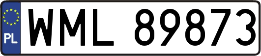 WML89873