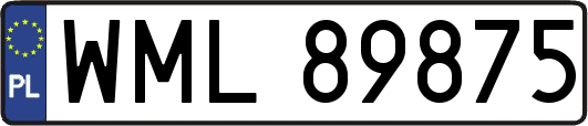 WML89875
