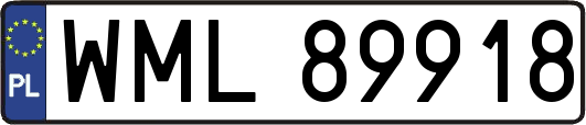 WML89918