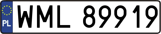 WML89919