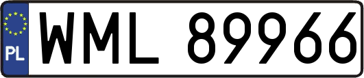 WML89966