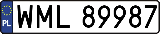 WML89987