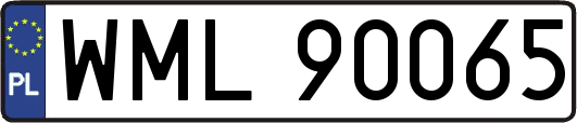 WML90065
