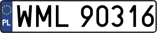 WML90316