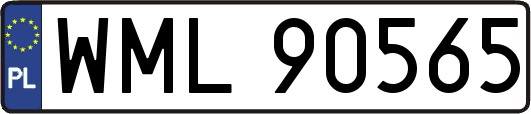 WML90565