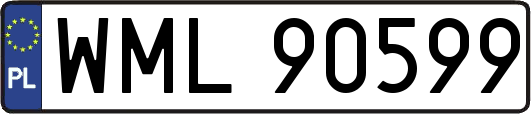 WML90599