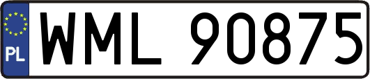 WML90875