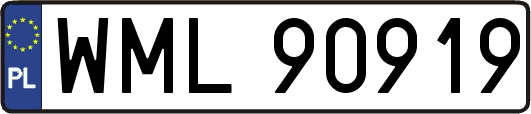 WML90919