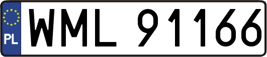 WML91166