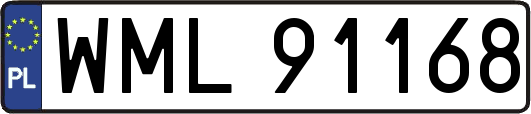 WML91168