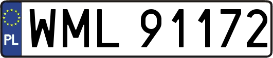 WML91172