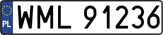 WML91236