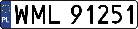 WML91251