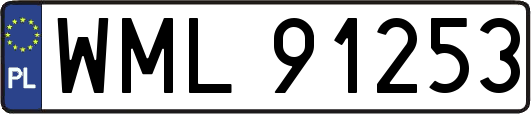 WML91253