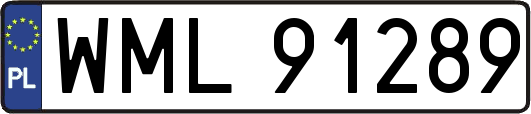WML91289