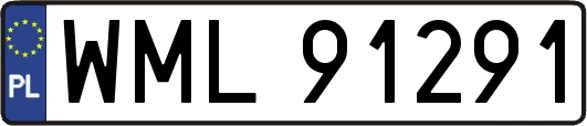 WML91291