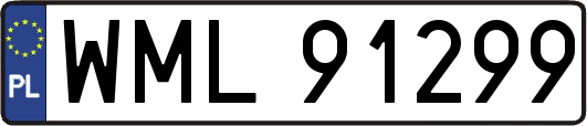 WML91299