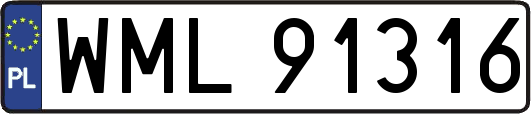 WML91316