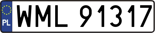 WML91317